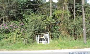 Imagem 6: AREA - RESERVA - SP