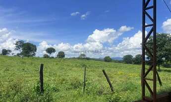 Imagem 6: Fazenda de 1.200 hectares sentido Cáceres MT