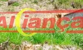 Imagem 6: TERRENO MANTIQUEIRA VISTA ESPETACULAR