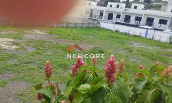 Imagem 7: Lote em Rua das Orquídeas - Chácara Primavera - Campinas/SP