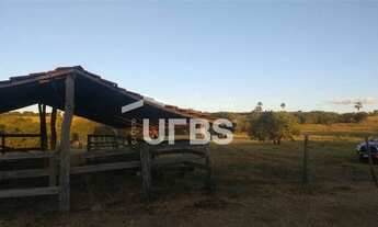 Imagem 7: FAZENDA NO MUNICÍPIO DE VARJÃO