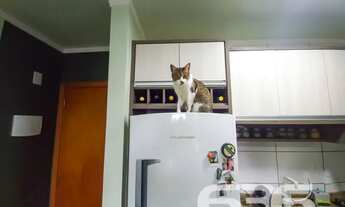 Imagem: Apartamento Joinville