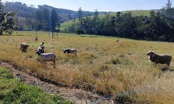 Imagem 3: Fazenda/Sítio/Chácara para venda tem 210 metros quadrados com 2 quartos