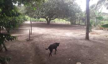 Imagem 7: Chácara Pov. Estancinha 30 min Aracaju entre Salgado e Estância