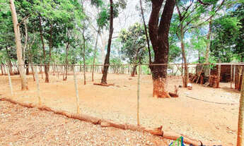 Imagem 6: Lote Residencial Ouro Verde