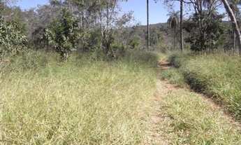 Imagem 6: Lindo terreno Rural de 80.000m², Serra do Cipo (Temos varias opções)