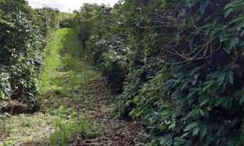 Imagem 3: Incrível Fazenda na cidade de São Pedro da União, estado de Minas Gerais