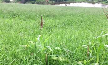 Imagem 4: Terreno residencial à venda, Jardim Santa Rita de Cássia, Bragança Paulista/SP - Easy Imóv