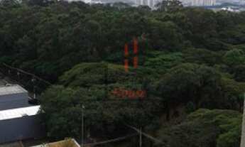 Imagem 5: SãO PAULO - Padrão - Tatuapé