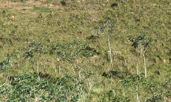 Imagem: Lote/Terreno para venda tem 600 metros quadrados