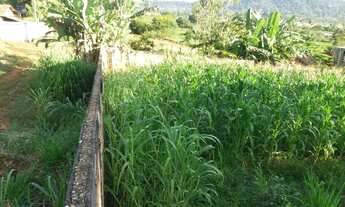 Imagem: 2 Terrenos 300m2 cada