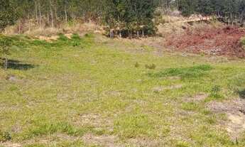 Imagem 3: Terreno para chácara em Camanducaia!!