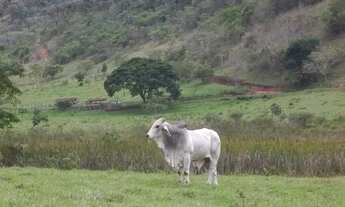 Imagem 6: Fazenda para venda em Minas Gerais com 441,05 hectares