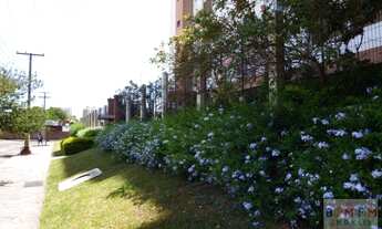 Imagem 2: Apto Mobiliado 2 Dorm. para aluguel no bairro Partenon/RS - AP03969