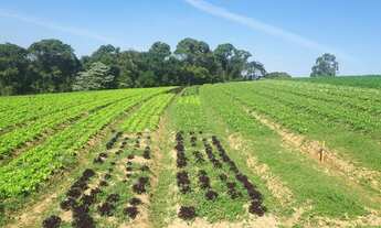 Imagem 5: A.C OPORTUNIDADE terreno em Ibiúna-sp entrada e parcelas direto com o Dono