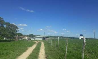 Imagem 5: Linda Fazenda com 210 hectares no vale de monte alegre