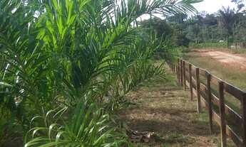 Imagem 6: Venda ou troca essa chácara em casa ou apartamento