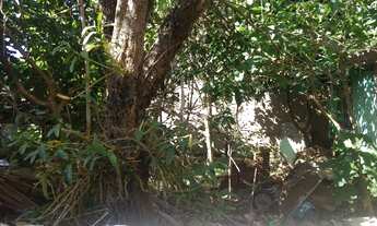 Imagem 2: Casa de alvenaria com 48 m² Parque da fonte