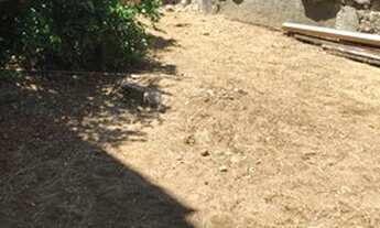 Imagem 2: Casa Casa com 2 dormitórios