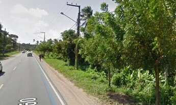 Imagem 7: Terreno 92mil M2 Frente a Pista