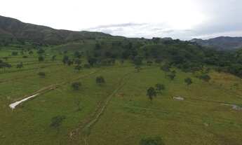 Imagem 2: 282 alqs dupla aptidão córrego montada região uruaçu GO