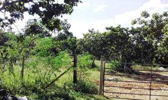 Imagem: Lagoa Santa - Loteamento/Condomínio - Jardim