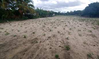 Imagem 3: Sítio Chácara com venda por R$235.000