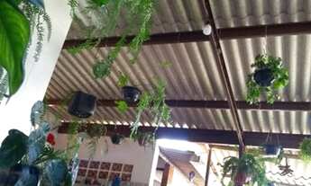 Imagem: Vendo excelente chácara