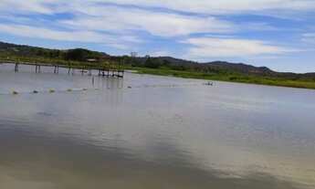 Imagem 5: Lote usina rochedo