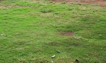 Imagem 4: Vendo Sítio Próximo a Pedra Preta-MT