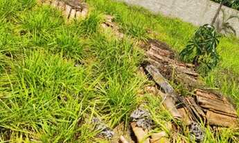 Imagem 2: Lote usina rochedo