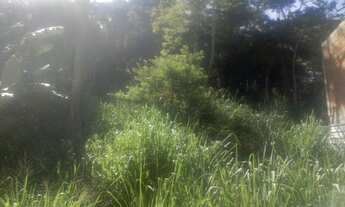 Imagem 7: Vendo terreno de 300m2 em Barra de Guaratiba