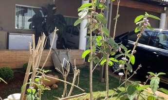 Imagem 3: CASA 3 QUARTOS COM PISCINA NA PONTE ALTA NORTE | RUA DO BELLAVIA