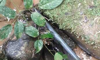 Imagem 5: Chácara para investimento aceito troca