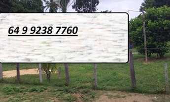 Imagem 3: 248 Alqs Pra Gado Boa Água Logística e Terra Entrada + Uma Centenário TO