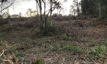 Imagem 6: Vendo Chácaras em Nova Hartz