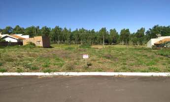 Imagem 2: Lote/Terreno 288 metros quitado 19 mil Pérola no Pr em Centro - Joinville - Santa Catarin