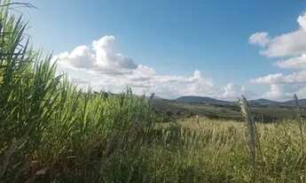 Imagem 3: Terreno em Arapiraca