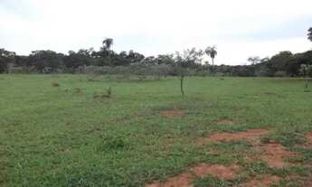 Imagem 3: Fazendinhas de 20.000m² com córrego nos fundos. Serra do Cipó (Temos varias opções)