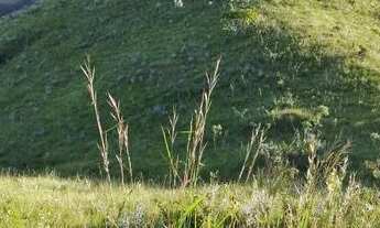 Imagem 6: Fazenda em Planaltina de Goiás