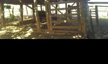 Imagem 5: Fazendinha Chácara com venda por R$280.000