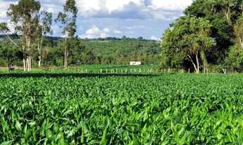 Imagem: Chácara Hidrolândia 3.000 M², Ótimo