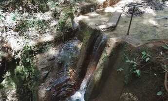 Imagem 5: FAZENDA COM 83 ALQUEIRES EM CAMPOS DO JORDÃO/SÃO PAULO