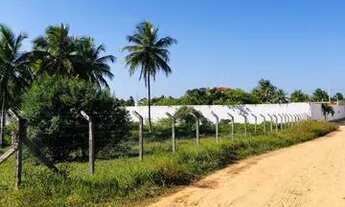 Imagem 4: Terreno no Povoado Areia Branca - zona de expansão