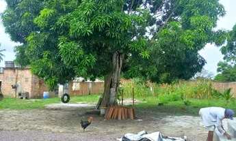 Imagem 6: Sítio no povoado Ariticum Itaporanga d'Ajuda de 1700m²