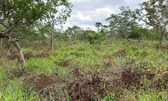 Imagem 2: Chácara muito barata a 70 km de Goiânia em cromínia com riacho