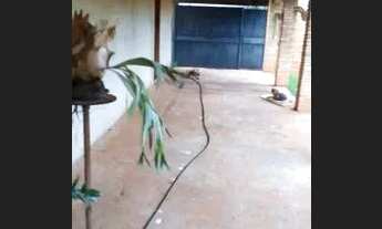 Imagem 2: Vede-se casa em Terezopopolis -Go