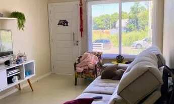 Imagem 7: Geminado L. João Alves - Exclusivo