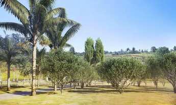 Imagem 7: Fazendinhas em Condomínio com Segurança Lazer e Área Verde Preservada