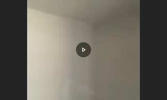 Imagem 5: Barracão Casa com 1 dormitório